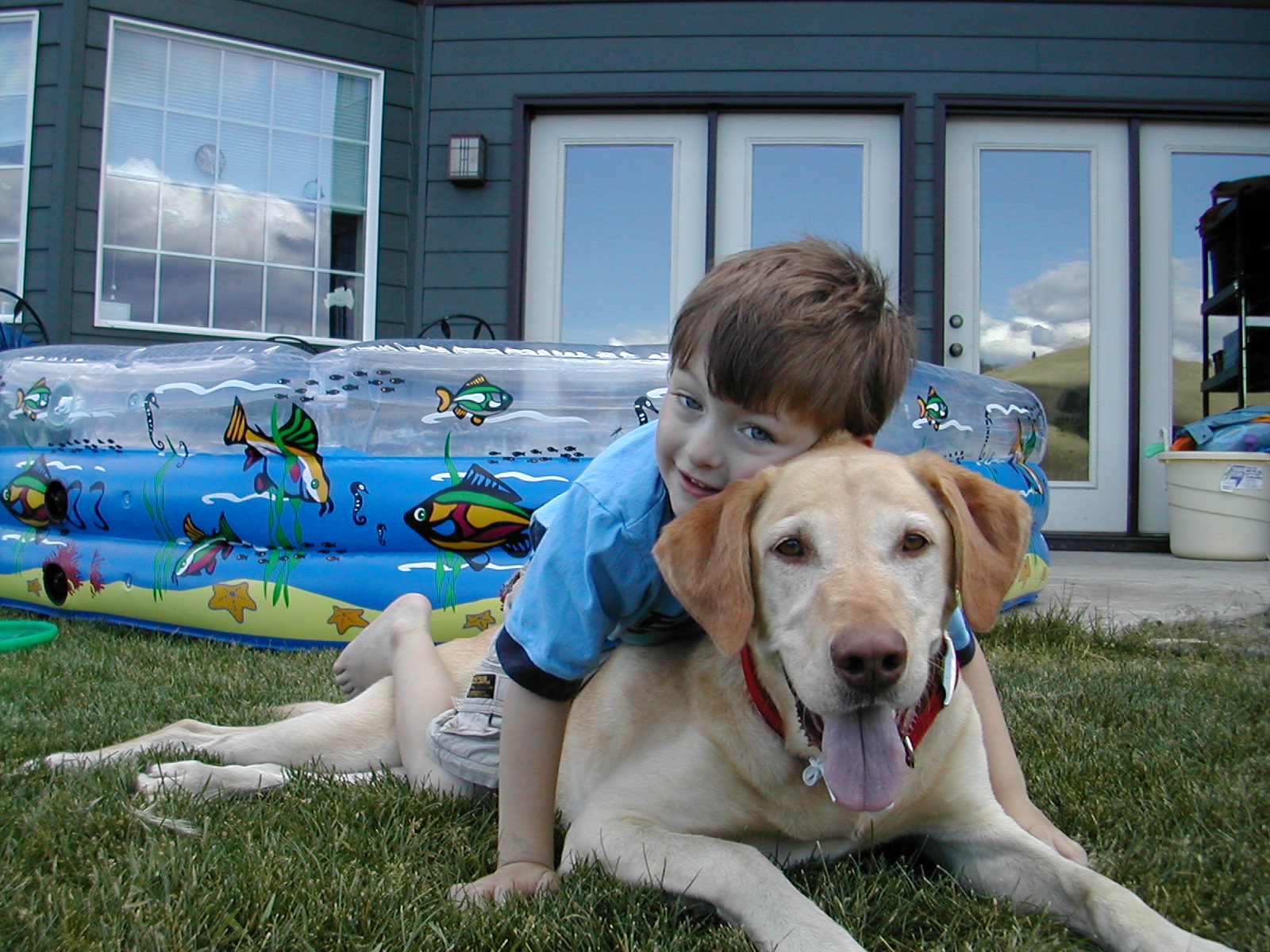 Family is important to me son and labrador picture